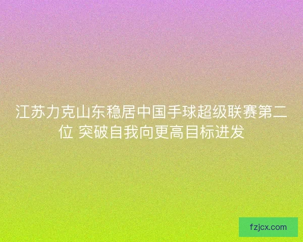 江苏力克山东稳居中国手球超级联赛第二位 突破自我向更高目标进发